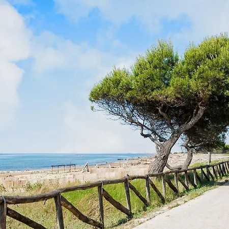 Family Flat Close To The ביביונה
